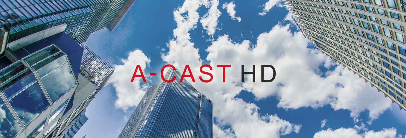 株式会社A-CASTホールディングス